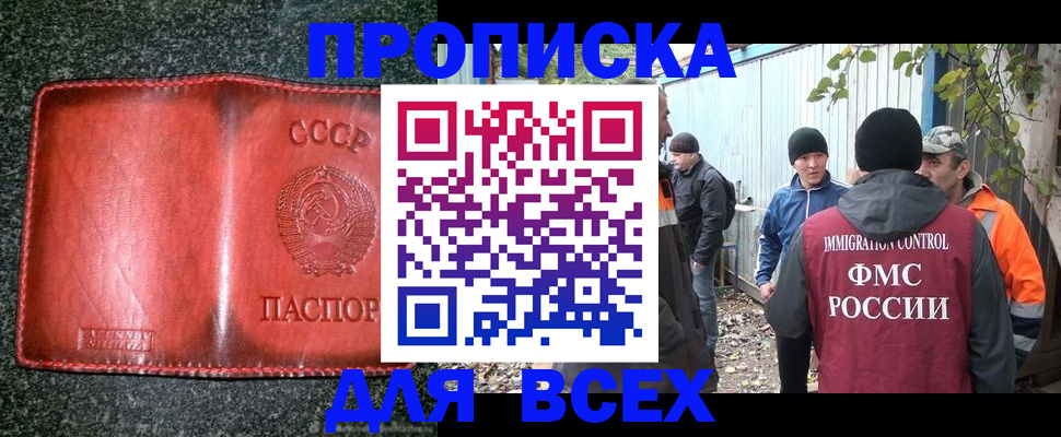 временная регистрация поиск в Волхове